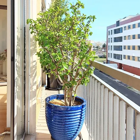 Sunny Flat Lisbon Oeiras