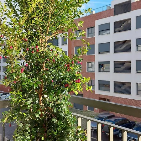 Sunny Flat Lisbon Oeiras Queijas